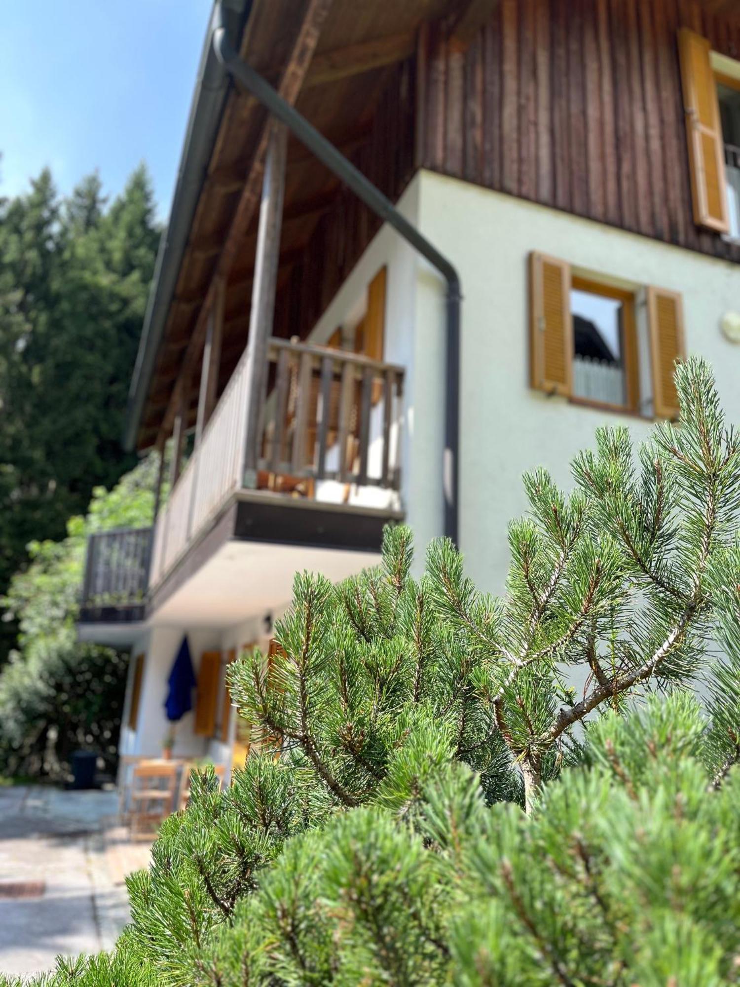 Chalet Harmony Rogla - apartment Zreče Kültér fotó
