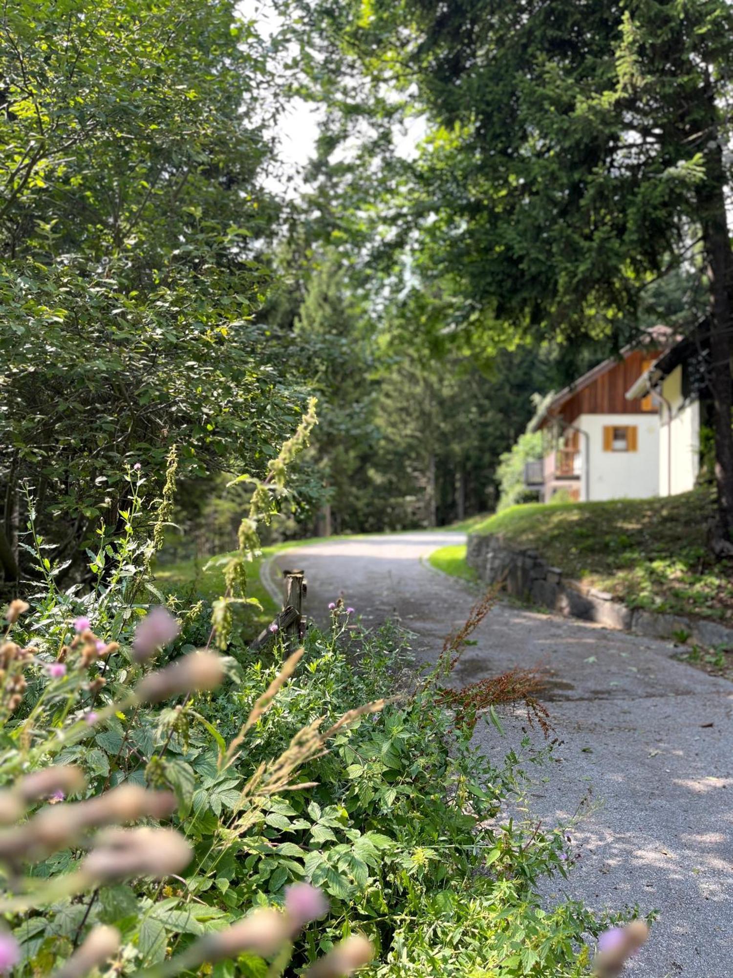 Chalet Harmony Rogla - apartment Zreče Kültér fotó